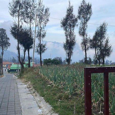 Bromo Semesta Guesthouse Probolinggo Exterior foto