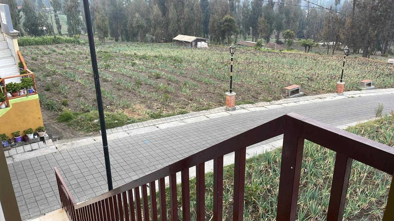 Bromo Semesta Guesthouse Probolinggo Exterior foto